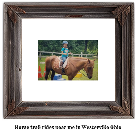 horse trail rides near me in Westerville, Ohio